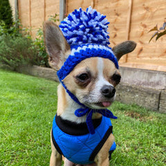 Small Dog Hand Knitted Chihuahua Hat with Pom Pom Boys 20 COLOURS Chihuahua Clothes and Accessories at My Chi and Me