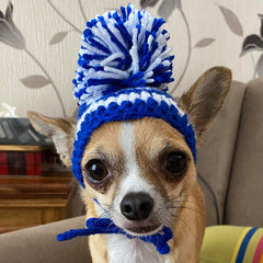Small Dog Hand Knitted Chihuahua Hat with Pom Pom Boys 20 COLOURS Chihuahua Clothes and Accessories at My Chi and Me