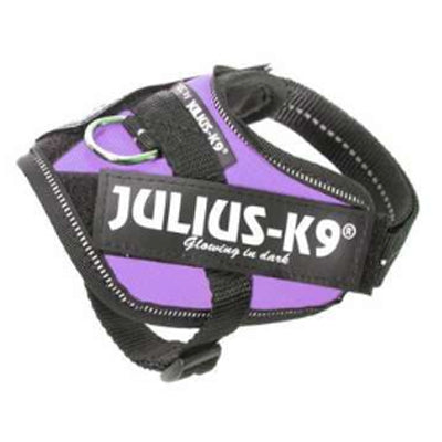 Julius K9 IDC Powerharness for Puppies and Chihuahuas Purple - My Chi and Me