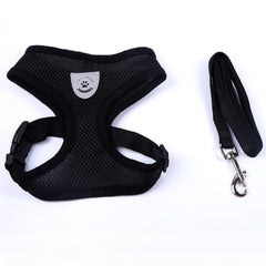 Breathable Mesh Chihuahua or Small Dog Harness and Lead Set Black - 2 SIZES Chihuahua Clothes and Accessories at My Chi and Me