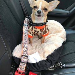 Premium Dog Seat Belt With Clip Leopard Orange Chihuahua Clothes and Accessories at My Chi and Me