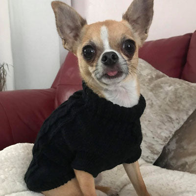 Small Dog Chihuahua Soft Black Cable Knit Puppy Jumper 5 SIZES Chihuahua Clothes and Accessories at My Chi and Me
