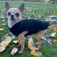 Chihuahua or Small Dog Fleece Jumper with D Rings For Leash Black