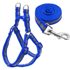 Reflective Chihuahua Harness and Lead Blue Strong Webbing - My Chi and Me
