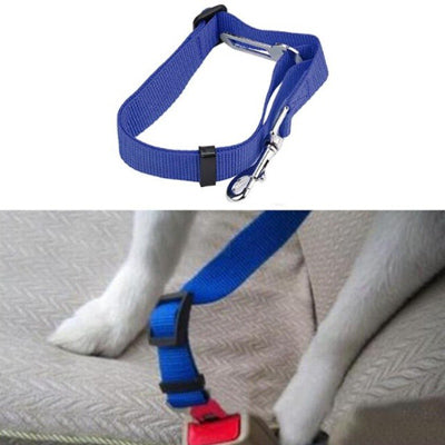 Premium Dog Seat Belt With Clip Blue - My Chi and Me