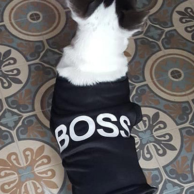 BOSS Vest T-Shirt Chihuahua Small Dog Vest - My Chi and Me