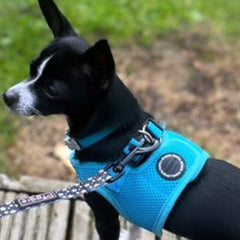 Puppia Soft Mesh Vest Style Small Dog Jacket Harness B Sky Blue 4 Sizes