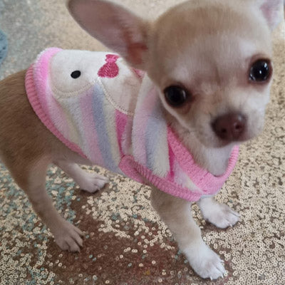 Chihuahua Puppy Small Dog Fluffy Striped Bunny Vest