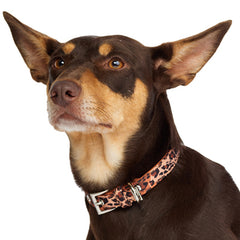 Urban Pup Brown Cheetah Print Dog Collar
