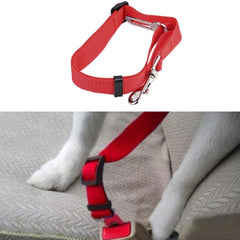 Premium Dog Seat Belt With Clip Red - My Chi and Me