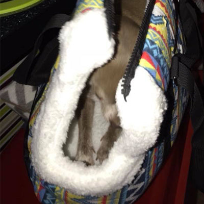Pet Carrier Padded Faux Sheepskin Lined Travel Shoulder Bag Aztec Design Dog Bag - My Chi and Me
