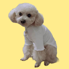 Small Dog Cream Ribbed Turtleneck Lightweight Undershirt Jumper