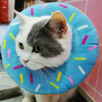 Post Operative Soft Protective Super Sweet Donut Surgery Collar