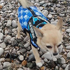 Julius K9 IDC Powerharness for Puppies and Chihuahuas Aquamarine - My Chi and Me