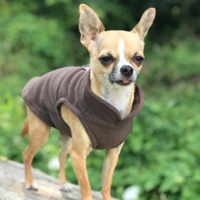 Chihuahua or Small Dog Fleece Jumper with D Rings For Leash Brown Chihuahua Clothes and Accessories at My Chi and Me