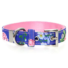 Pink and Blue Floral Burst Collar by Urban Pup Chihuahua Clothes and Accessories at My Chi and Me