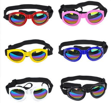Doggles Dog Goggles with UV Protection Lenses for Small Dogs – My Chi ...