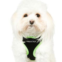 Active Mesh Black and Green Harness by Urban Pup Chihuahua Clothes and Accessories at My Chi and Me