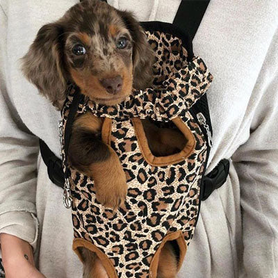 Front Facing Pet Carrier For Puppies And Small Dogs Legs Out Leopard Print Chihuahua Clothes and Accessories at My Chi and Me