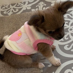 Chihuahua Puppy Small Dog Fluffy Striped Heart Vest