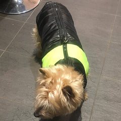 Gilet Style Small Dog Coat Black And Yellow - My Chi and Me