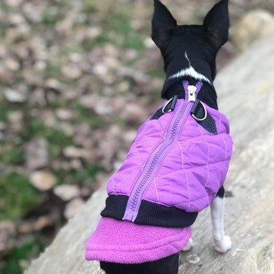 Water Resistant Padded Quilted Purple Dog Gilet Chihuahua Clothes and Accessories at My Chi and Me