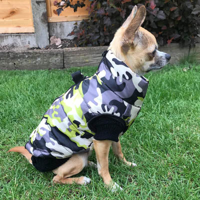 Chihuahua or Small Dog Coat Jungle Camouflage Gilet - My Chi and Me