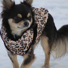 Premium Leopard Print Water Resistant Padded Gilet Style Coat Chihuahua or Small Dog - My Chi and Me