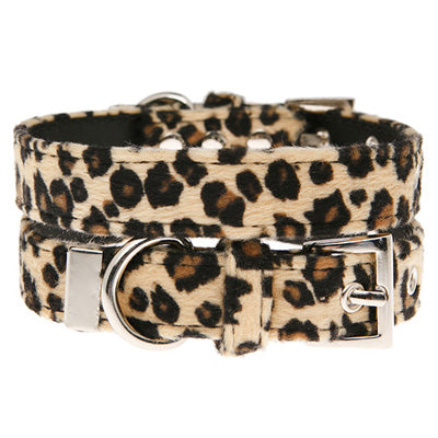 Leopard Print Collar by Urban Pup Chihuahua Clothes and Accessories at My Chi and Me