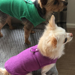 Chihuahua or Small Dog Fleece Jumper with D Rings For Leash Lilac - My Chi and Me
