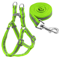 Reflective Chihuahua Harness and Lead Lime Strong Webbing - My Chi and Me
