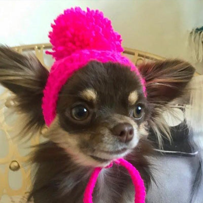Small Dog Hand Knitted Chihuahua Hat with Pom Pom Girls 25 COLOURS Chihuahua Clothes and Accessories at My Chi and Me