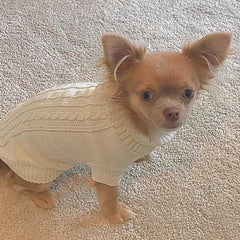 Small Dog Soft Cream Cable Knit Chihuahua Puppy Jumper 5 SIZES Chihuahua Clothes and Accessories at My Chi and Me