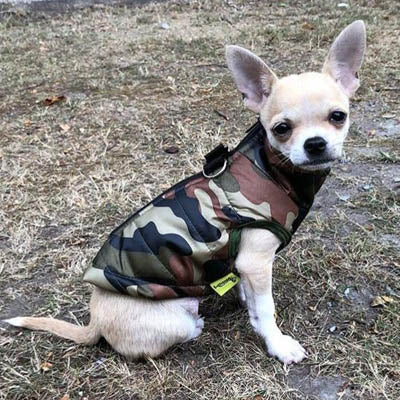 Premium Forest Camouflage Water Resistant Padded Gilet Style Dog Coat Chihuahua Clothes and Accessories at My Chi and Me