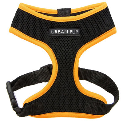 Active Mesh Black and Orange Harness by Urban Pup Chihuahua Clothes and Accessories at My Chi and Me