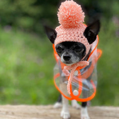 Orange Edged Waterproof Raincoat for Chihuahuas and Small Dogs - 3 SIZES Chihuahua Clothes and Accessories at My Chi and Me