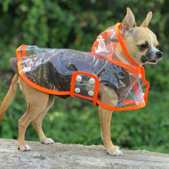 Orange Edged Waterproof Raincoat for Chihuahuas and Small Dogs - 3 SIZES Chihuahua Clothes and Accessories at My Chi and Me