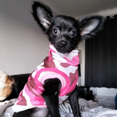 Chihuahua or Small Dog Coat Pink Camouflage Gilet