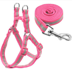 Reflective Chihuahua Harness and Lead Pink Strong Webbing - My Chi and Me