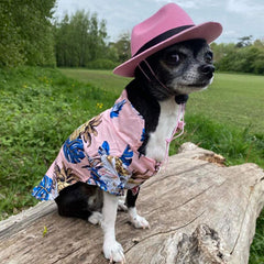 Pink Palms Hibiscus Print Quickdry Hawaiian Shirt for Puppies Chihuahuas or Small Dogs