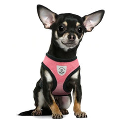 Breathable Mesh Chihuahua or Small Dog Harness and Lead Set Pink - 2 SIZES Chihuahua Clothes and Accessories at My Chi and Me