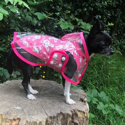 Pink Edged Waterproof Raincoat for Chihuahuas and Small Dogs - 3 SIZES Chihuahua Clothes and Accessories at My Chi and Me