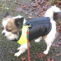 Gilet Style Small Dog Coat Black And Yellow - My Chi and Me