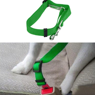 Premium Dog Seat Belt With Clip Green Chihuahua Clothes and Accessories at My Chi and Me