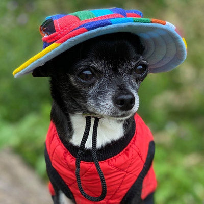 Rainbow Pride NHS Sun Hat for Chihuahua Small Dog or Puppy