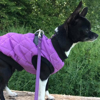 Water Resistant Padded Quilted Purple Dog Gilet Chihuahua Clothes and Accessories at My Chi and Me