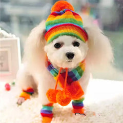 Chihuahua or Small Dog Hat Scarf and Leg Warmers Rainbow Stripes