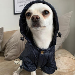 Urban Pup Chihuahua Puppy Chihuahua or Small Dog Navy Blue Coat Rainstorm Jacket Chihuahua Clothes and Accessories at My Chi and Me