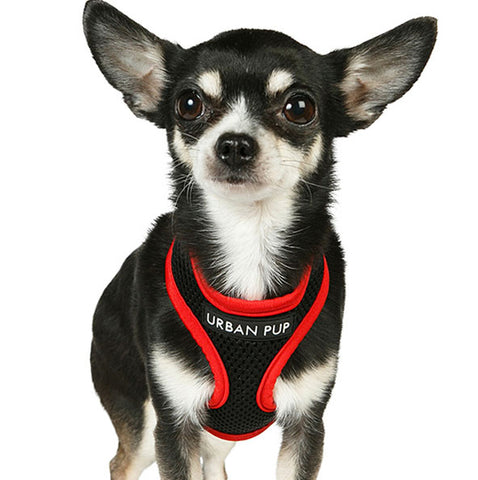 Active Mesh Black and Red Harness by Urban Pup Chihuahua Clothes and Accessories at My Chi and Me