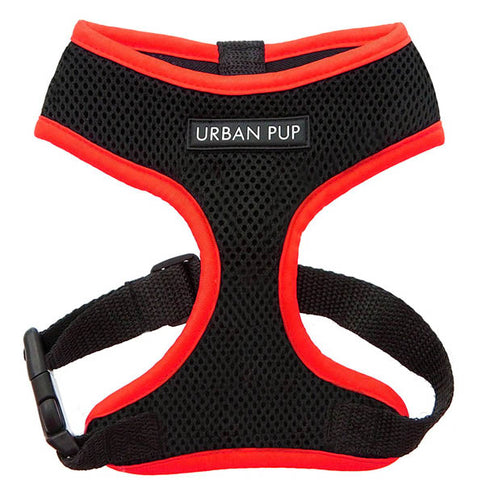 Active Mesh Black and Red Harness by Urban Pup Chihuahua Clothes and Accessories at My Chi and Me